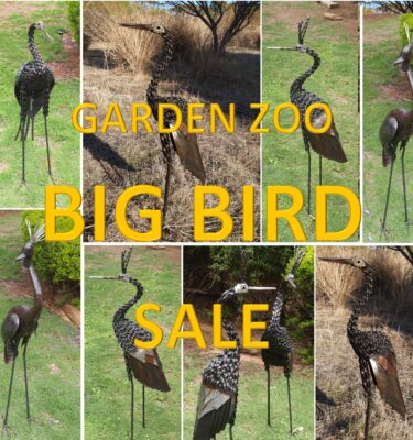 BIG BIRD SALE